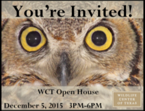 Join us at our Annual Open House