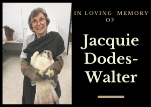 In Memory of Jacquie Dodes-Walter